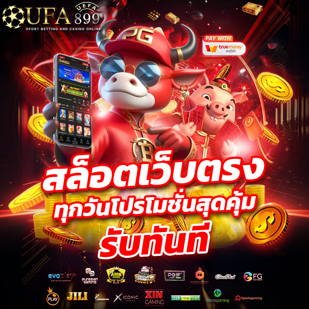 ไม่พบรูปภาพ