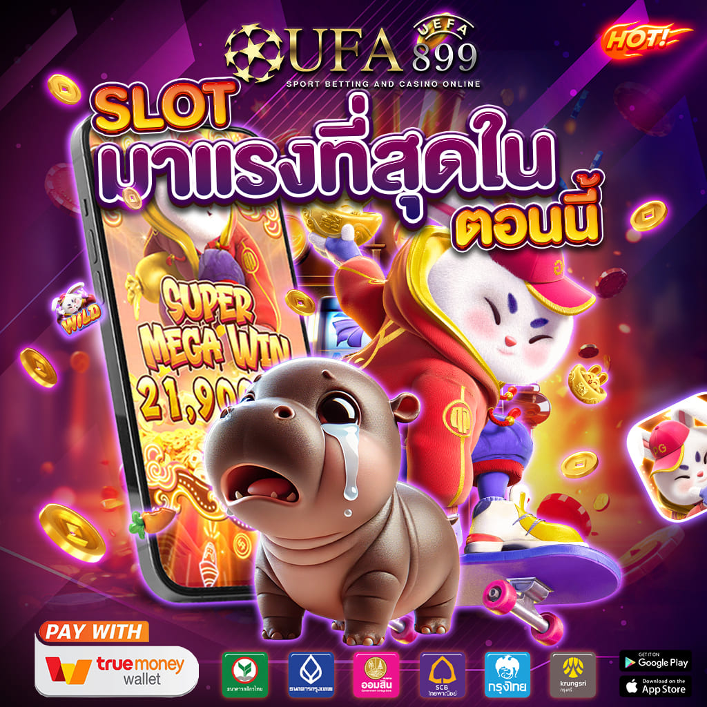 ไม่พบรูปภาพ