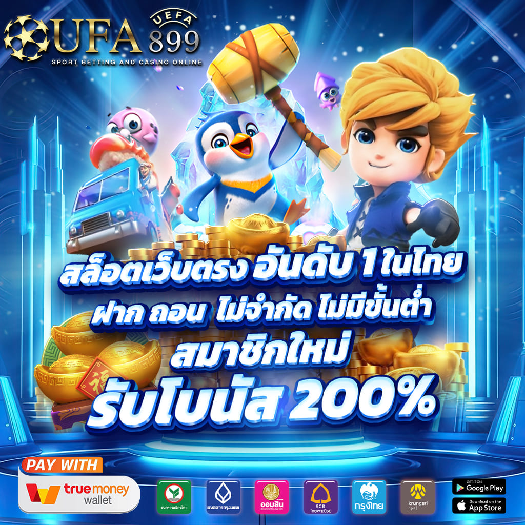 ไม่พบรูปภาพ